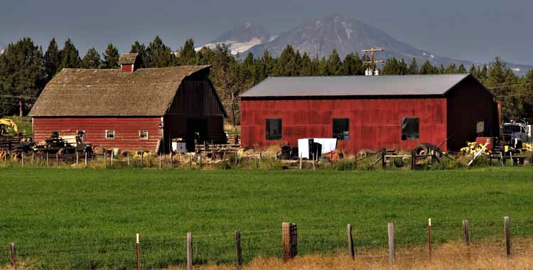 barns